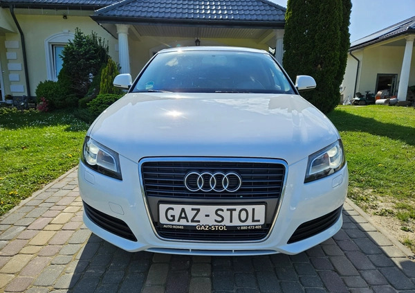 Audi A3 cena 34900 przebieg: 156000, rok produkcji 2010 z Gryfice małe 781